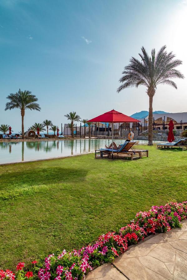Retac Qunay Dahab Resort & Spa Exterior foto The pool at the resort